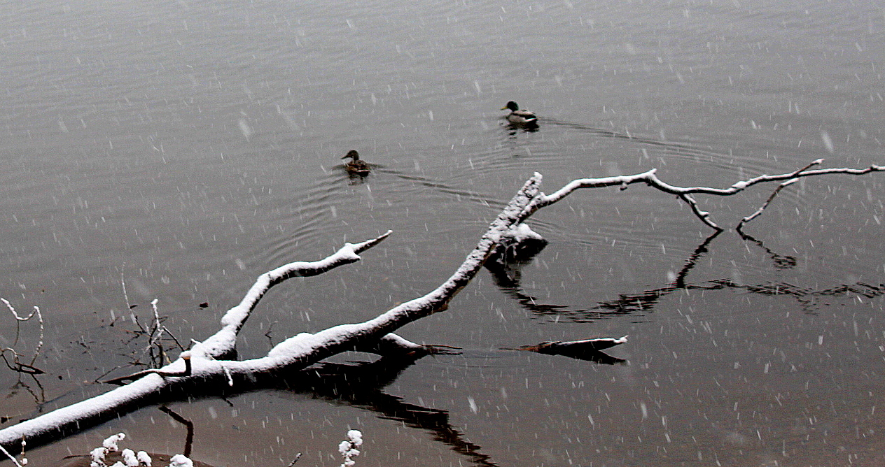 Первый снег
