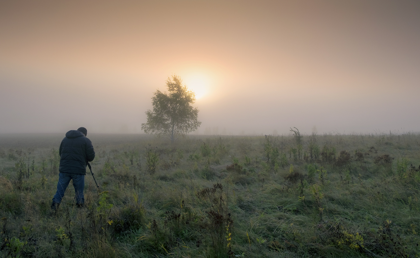 В погоне за туманом