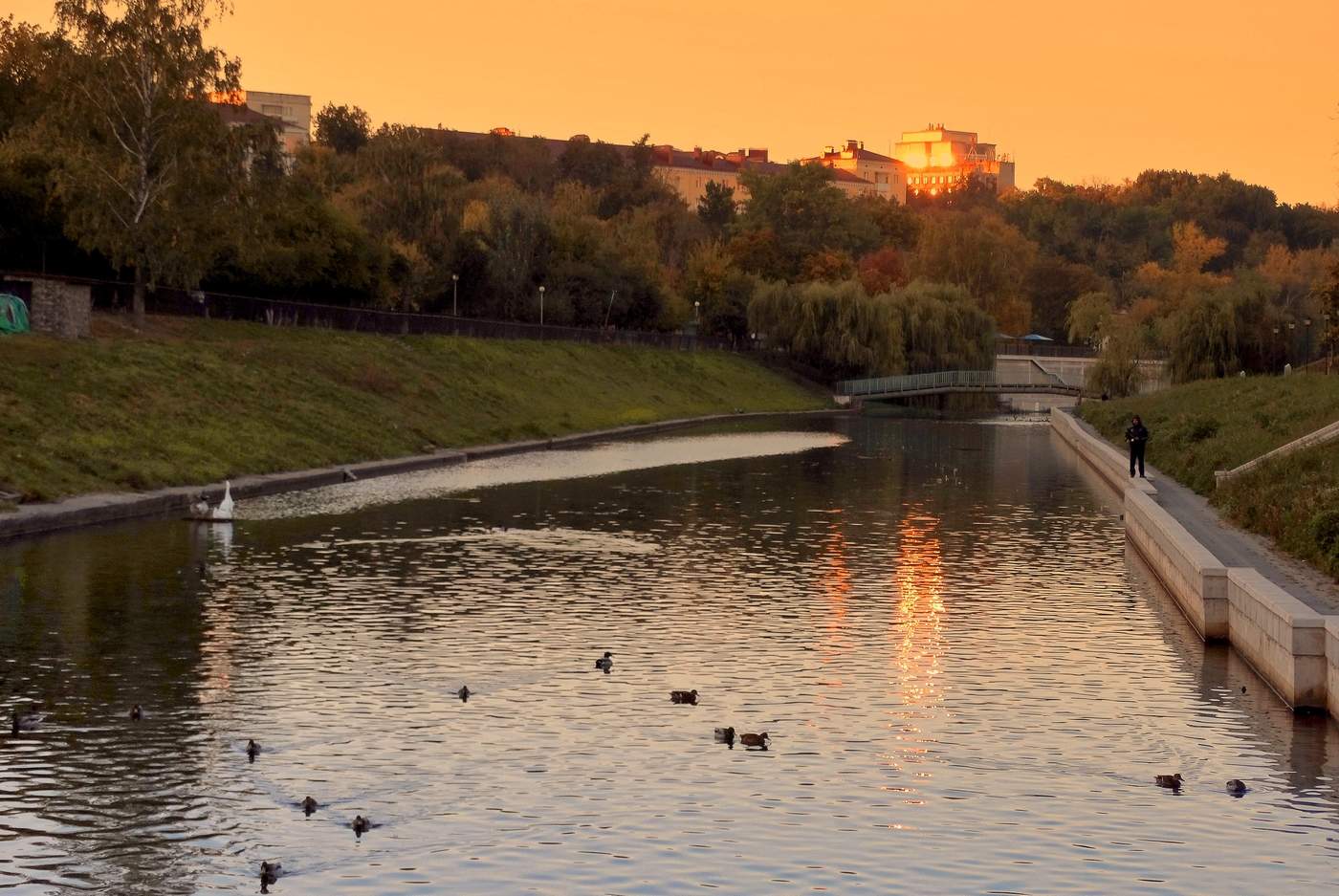 Солнечные блики на воде