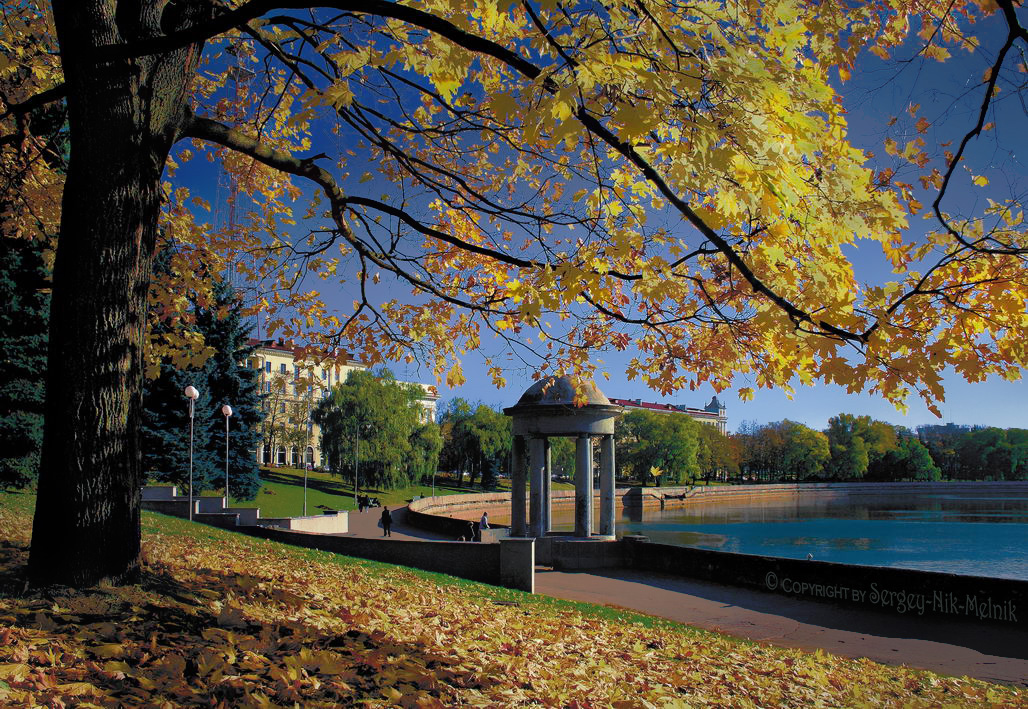 Золотая осень в городе