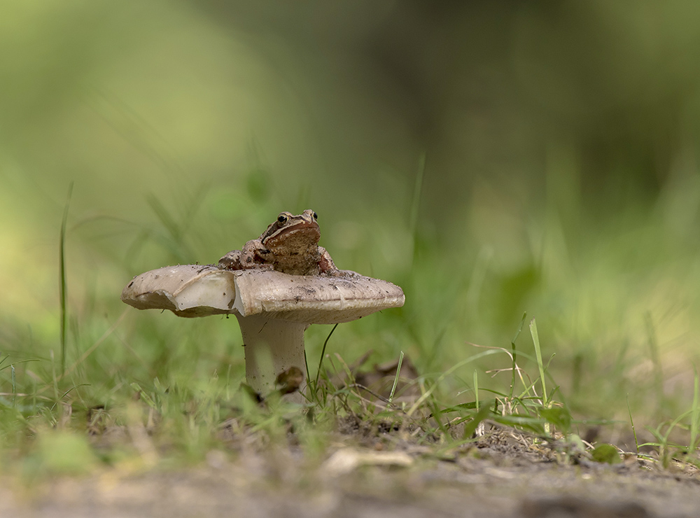 Удобное место.