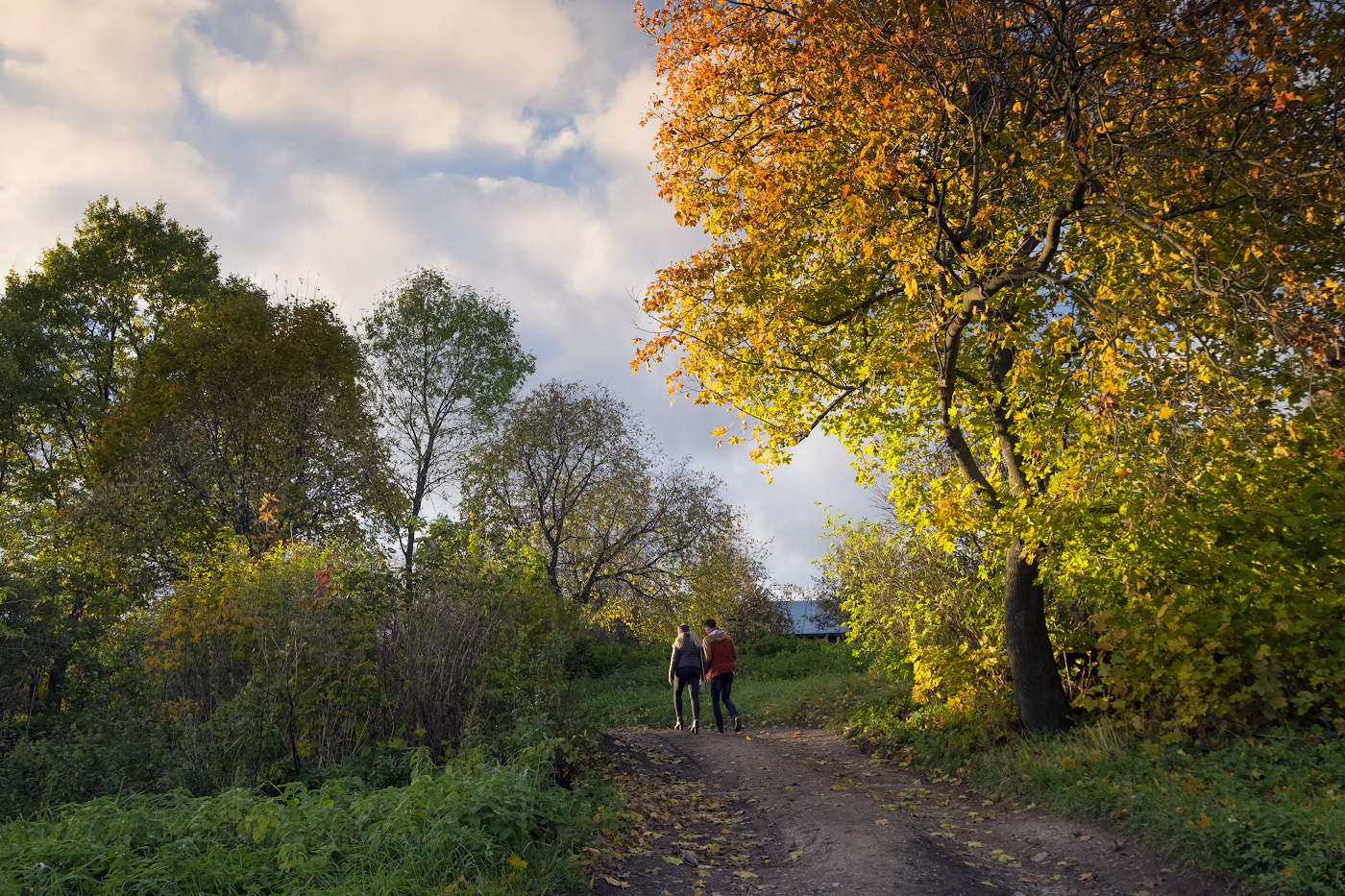 Идущие в осень