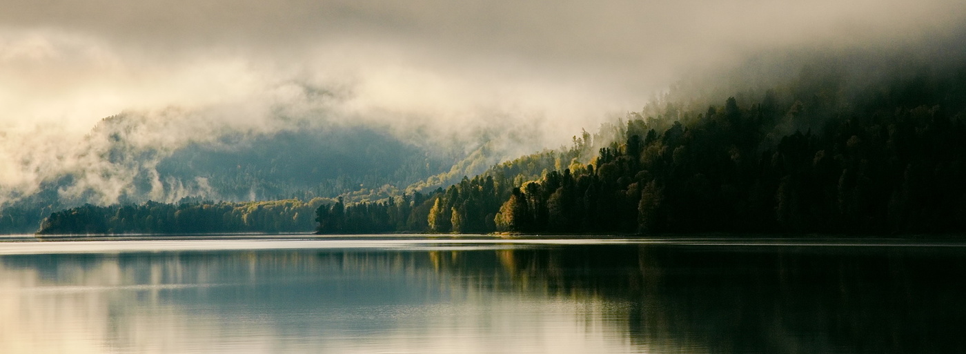 ТУМАННОЕ УТРО