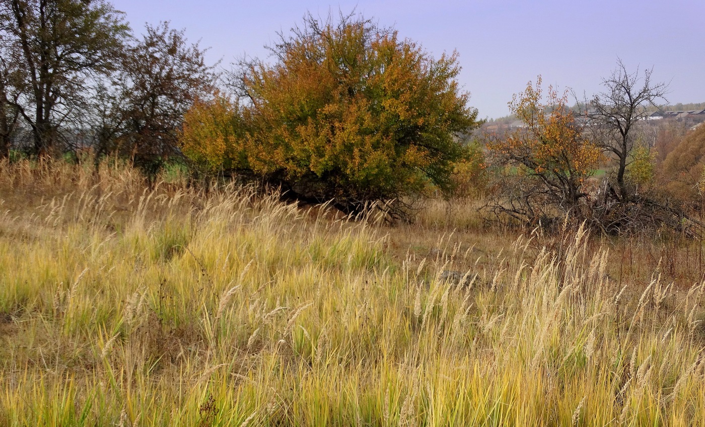 Осень на холме