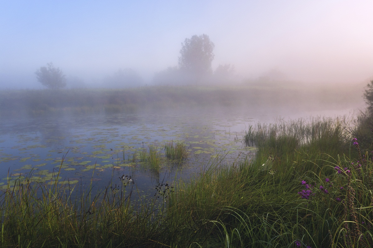 На берегу лета.