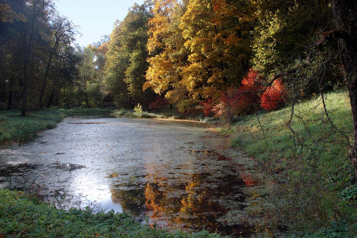 Краски яркой осени