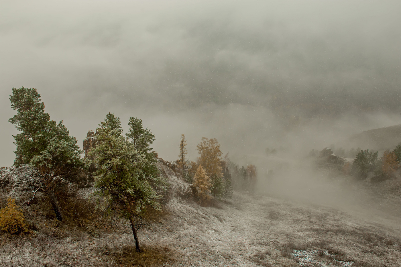 Закружила осень в зиму