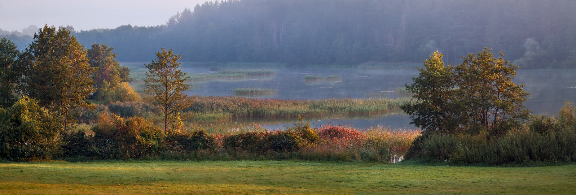 Аккорды летнего утра