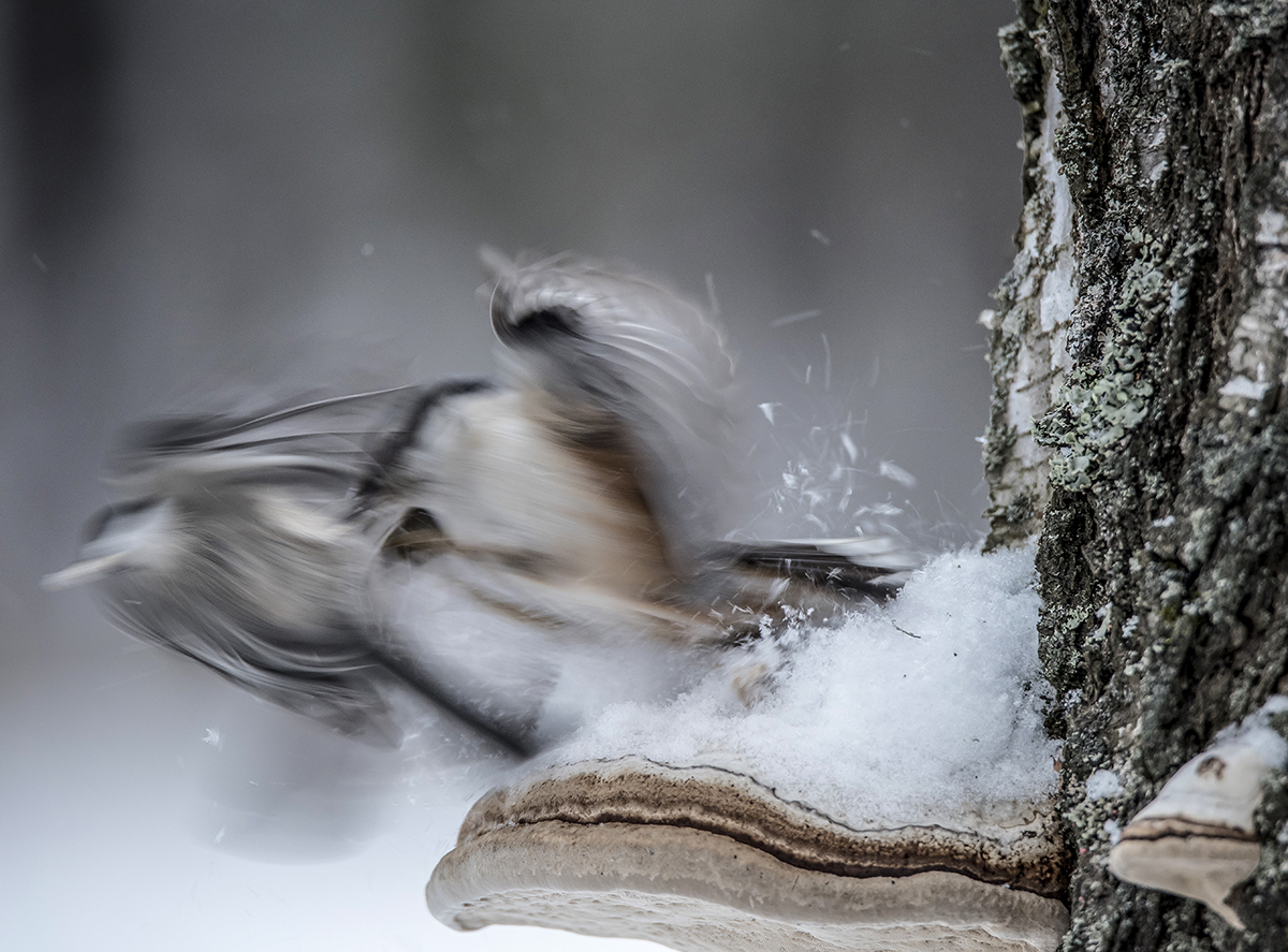 Пятничная головоломка