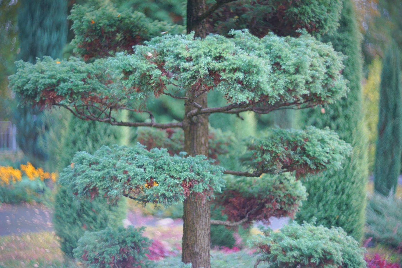 Пятничная головоломка