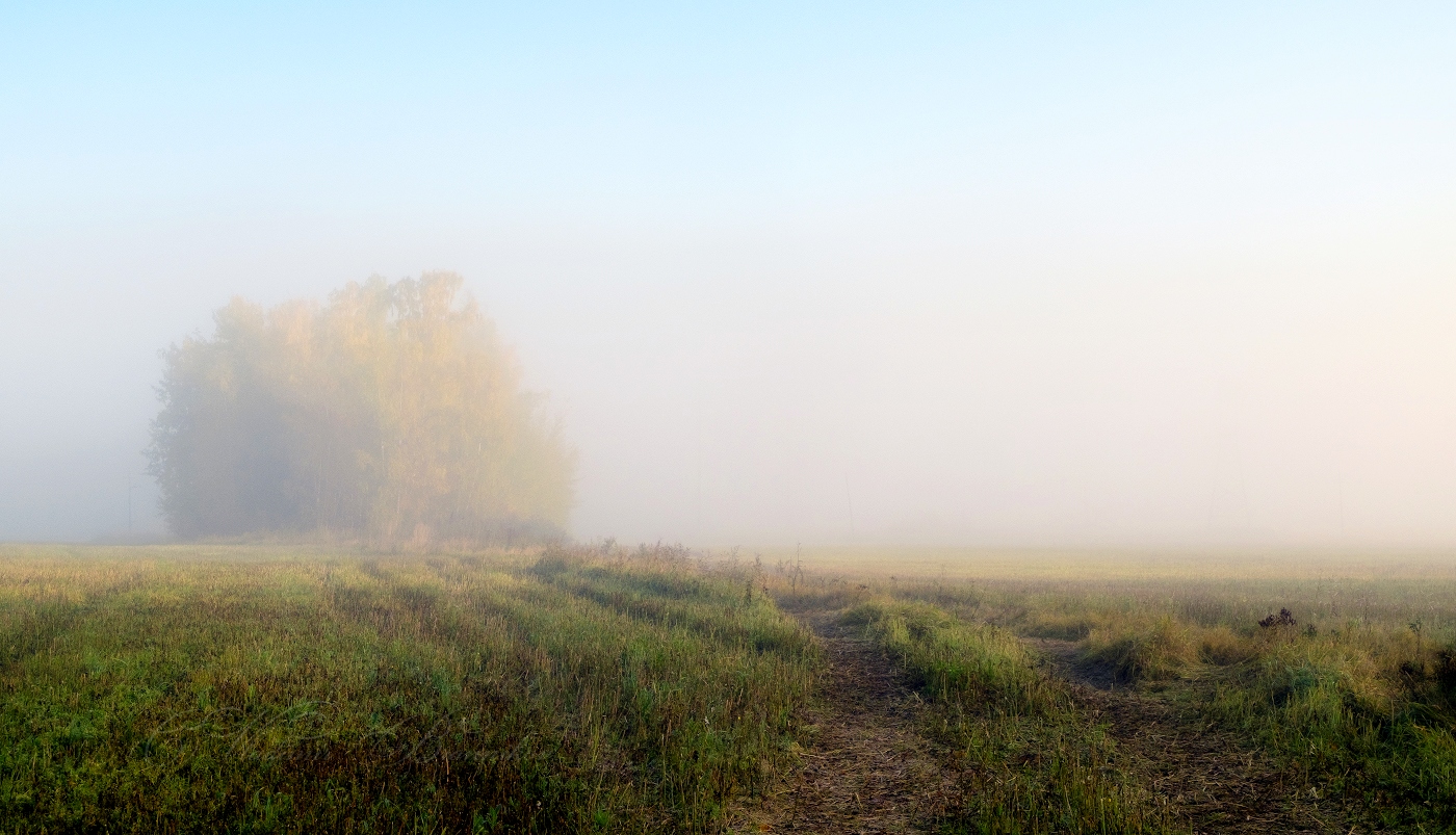 В туманную даль