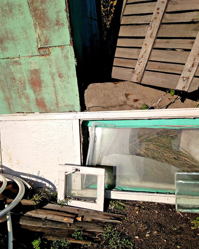 Пятничная головоломка