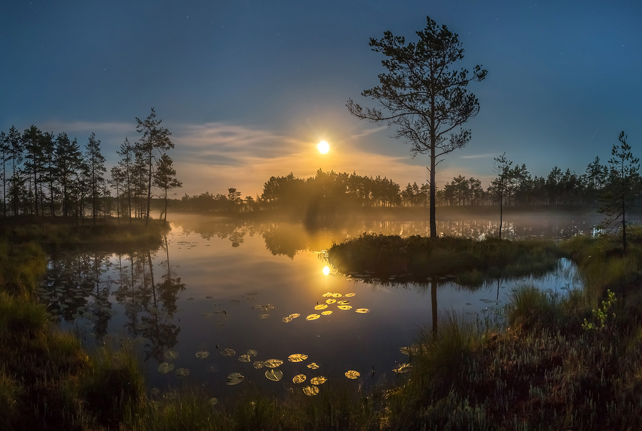 Уплыть на островке