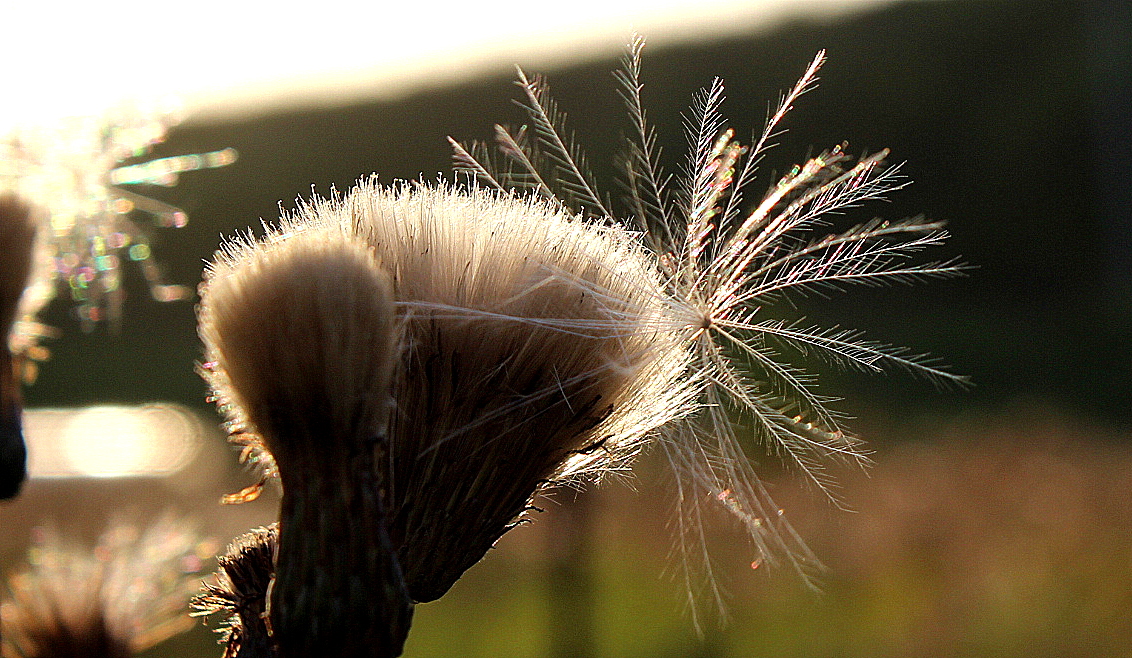 Пятничная головоломка
