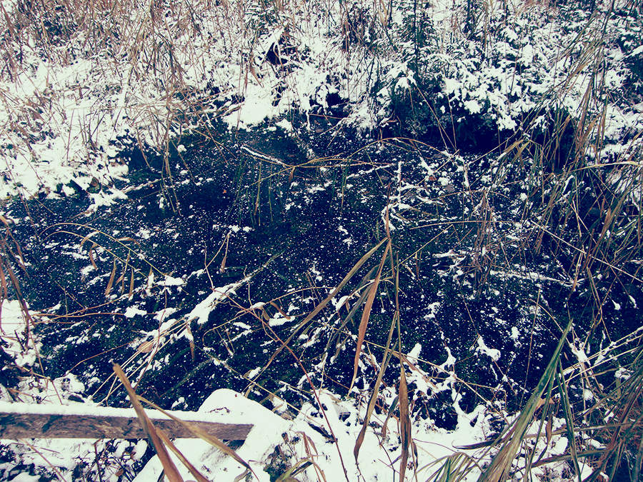 Пятничная головоломка