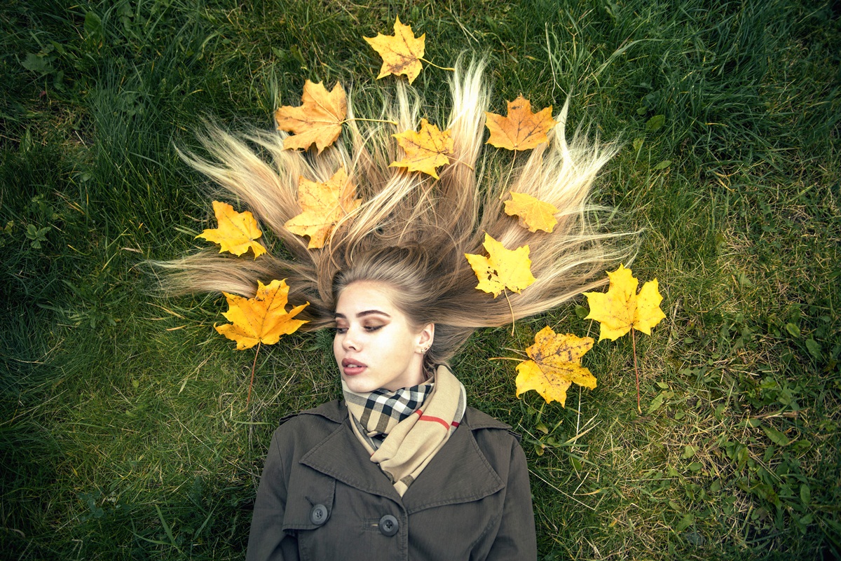 Листья клёна