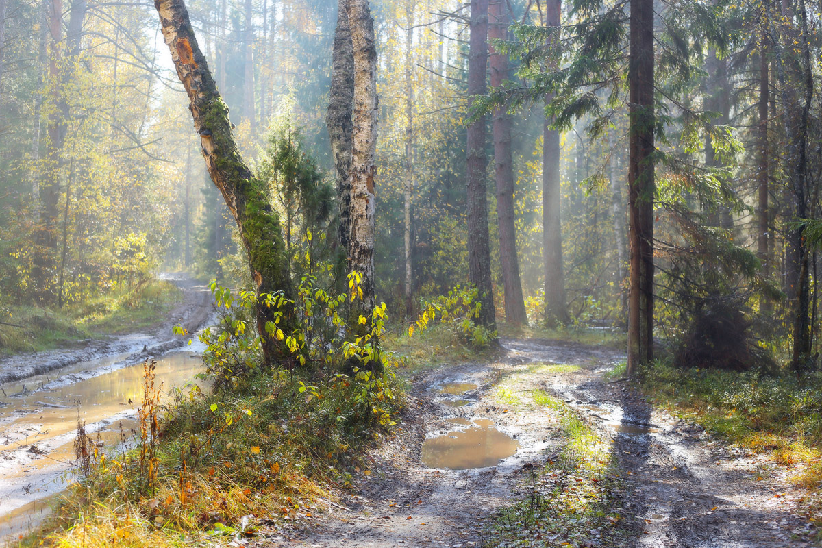 Осенний этюд