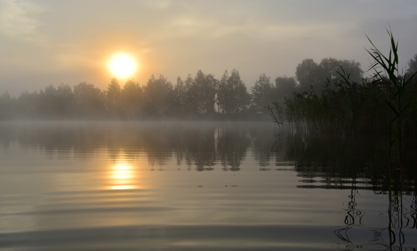 На рассветном озере