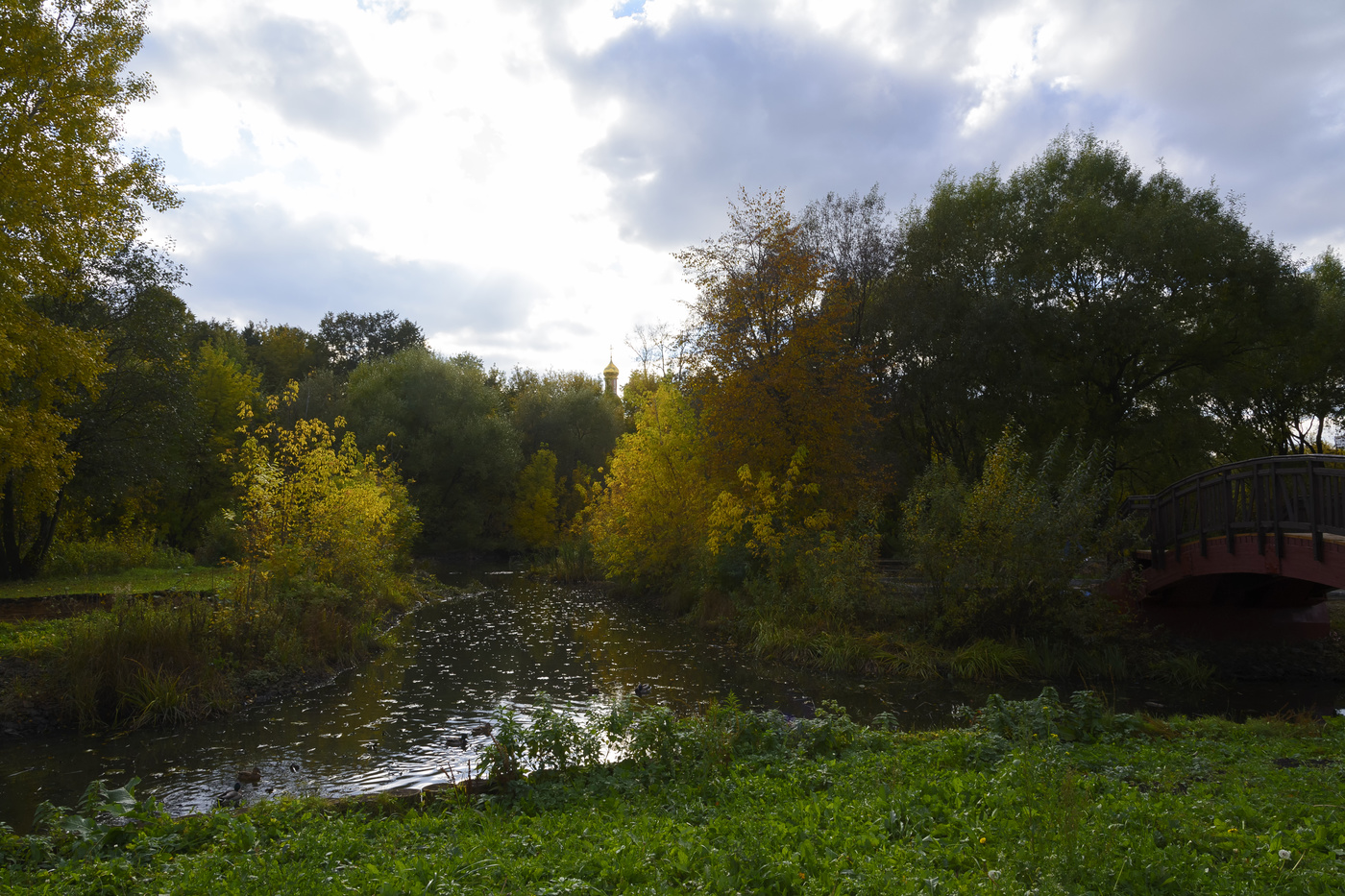 осень в Свиблово