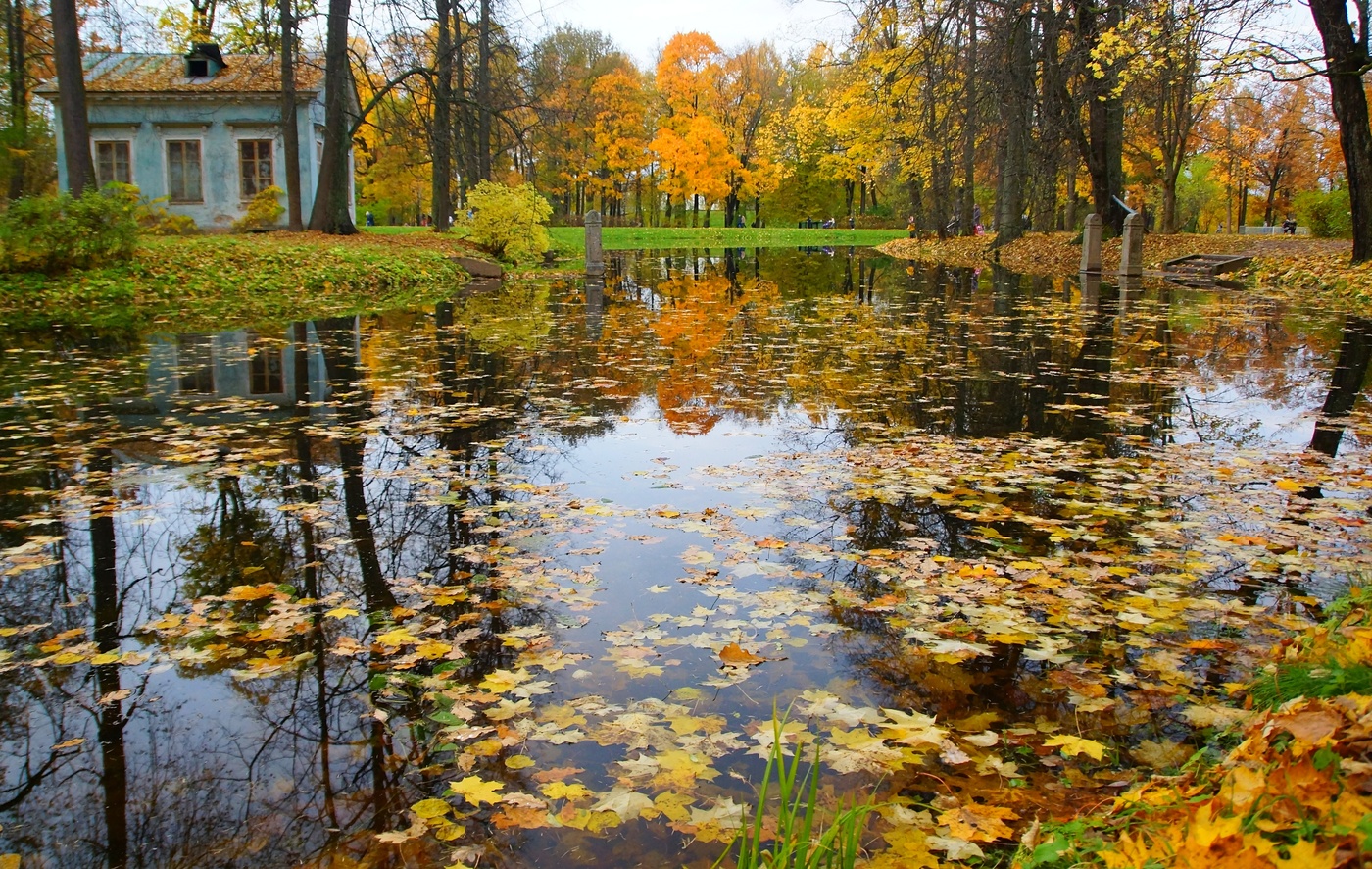 Вечер в октябре...