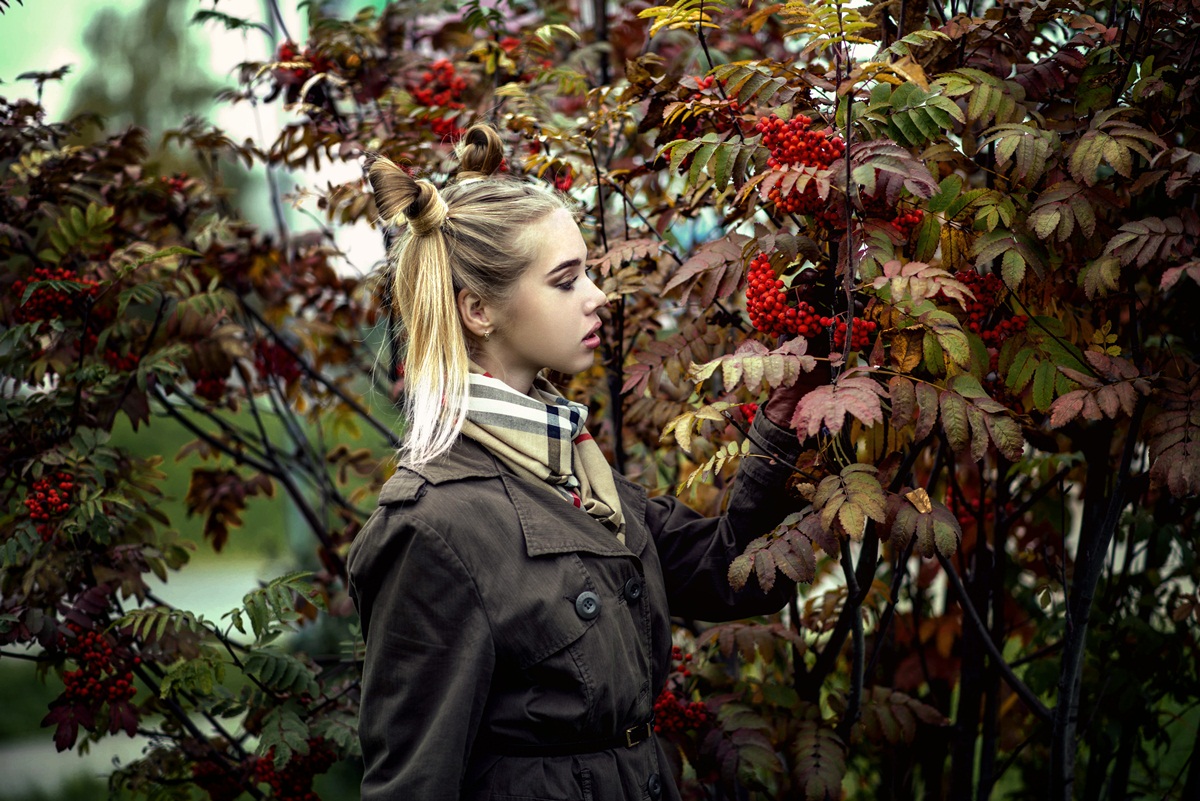 Костры рябин