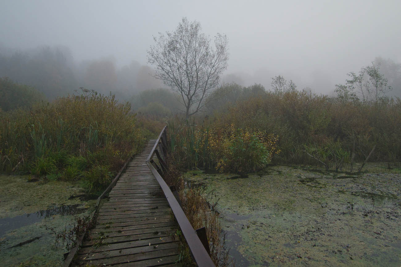 Мостик на протоке. Архангельское