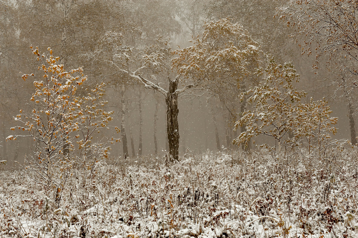 ОСЕННИЙ ВАЛЬС...
