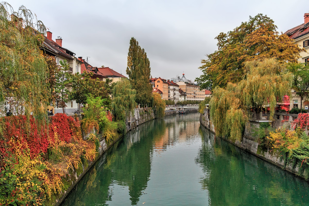 Разноцветная осень