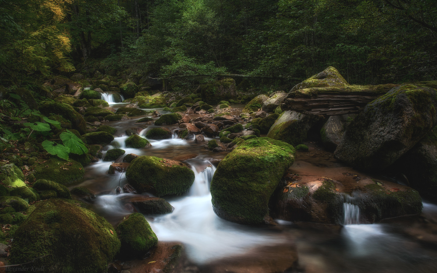 Шумит Рожкао...