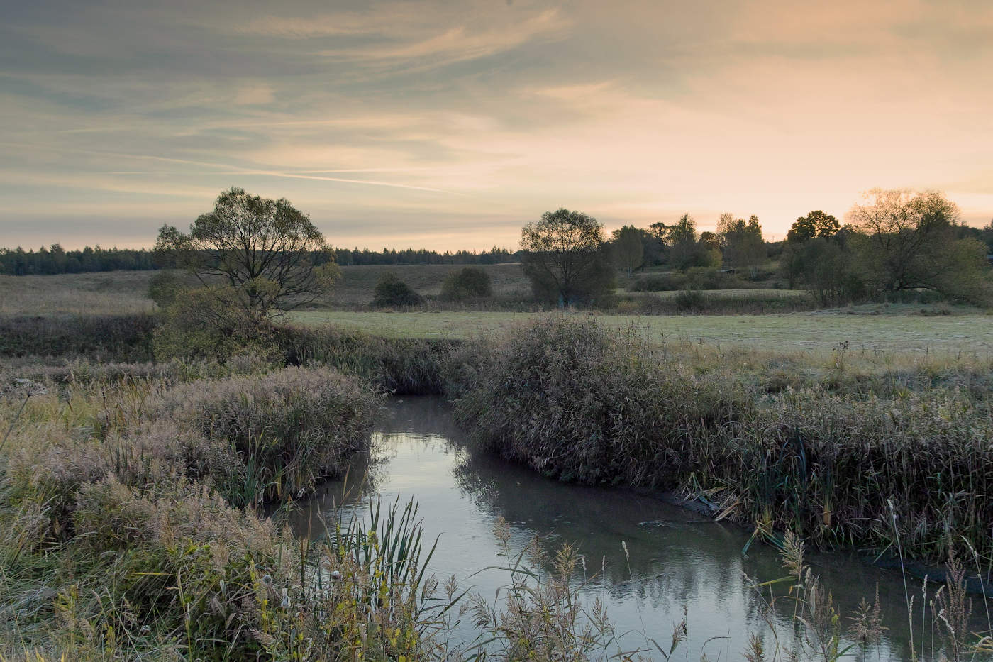 Осенний лёгкий иней