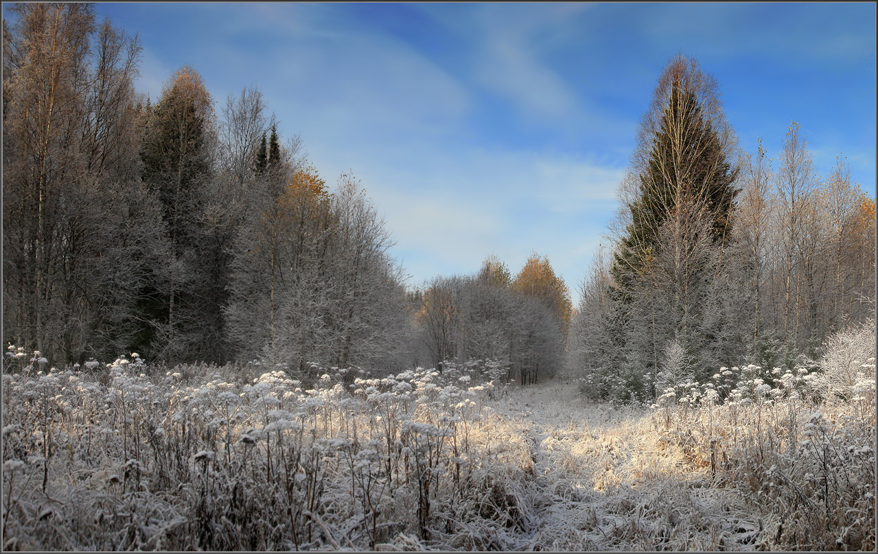 В преддверии зимы