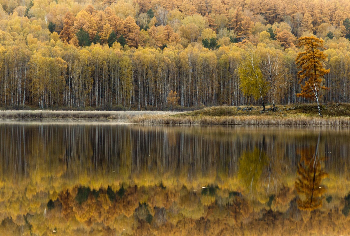 Осень на оз.Песочное