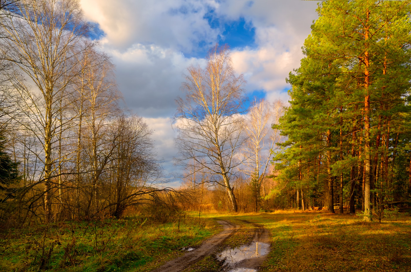 осенний день