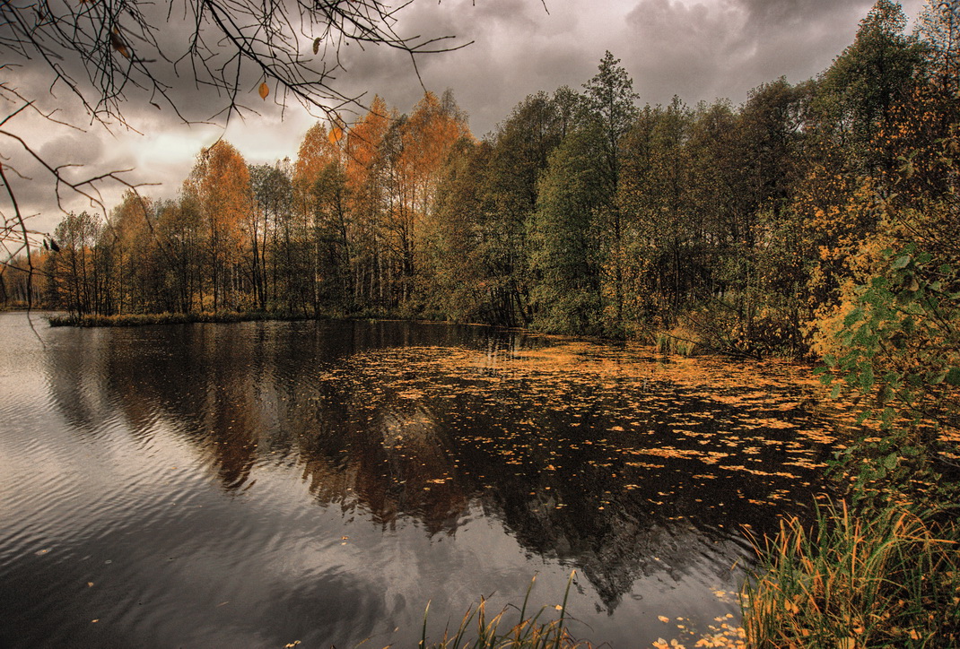 Листопад по воде