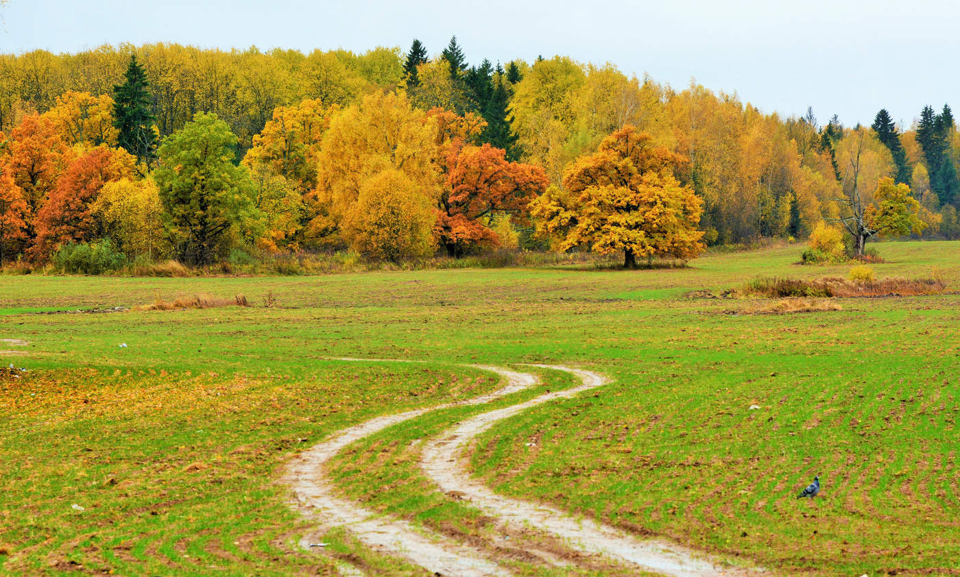 Приятна мне твоя прощальная краса...