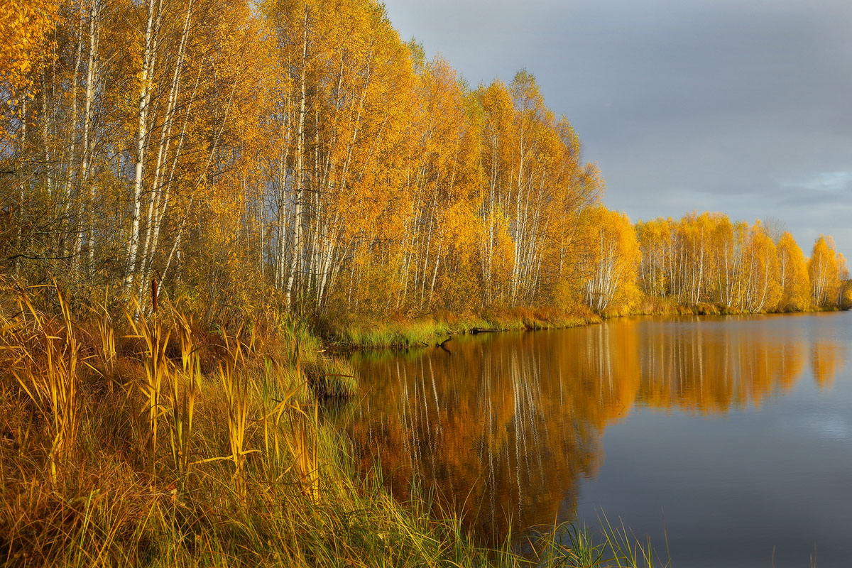В вечернем свете