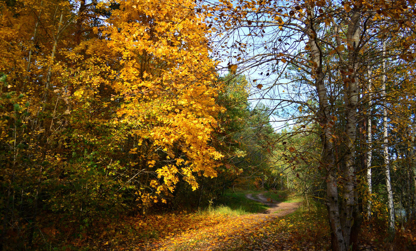 Время осенних листьев