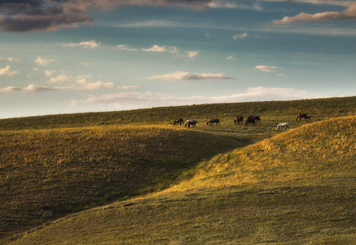 Под небом вечерним