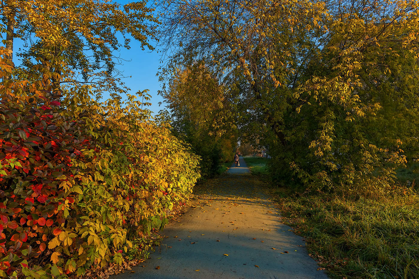 В городе осень