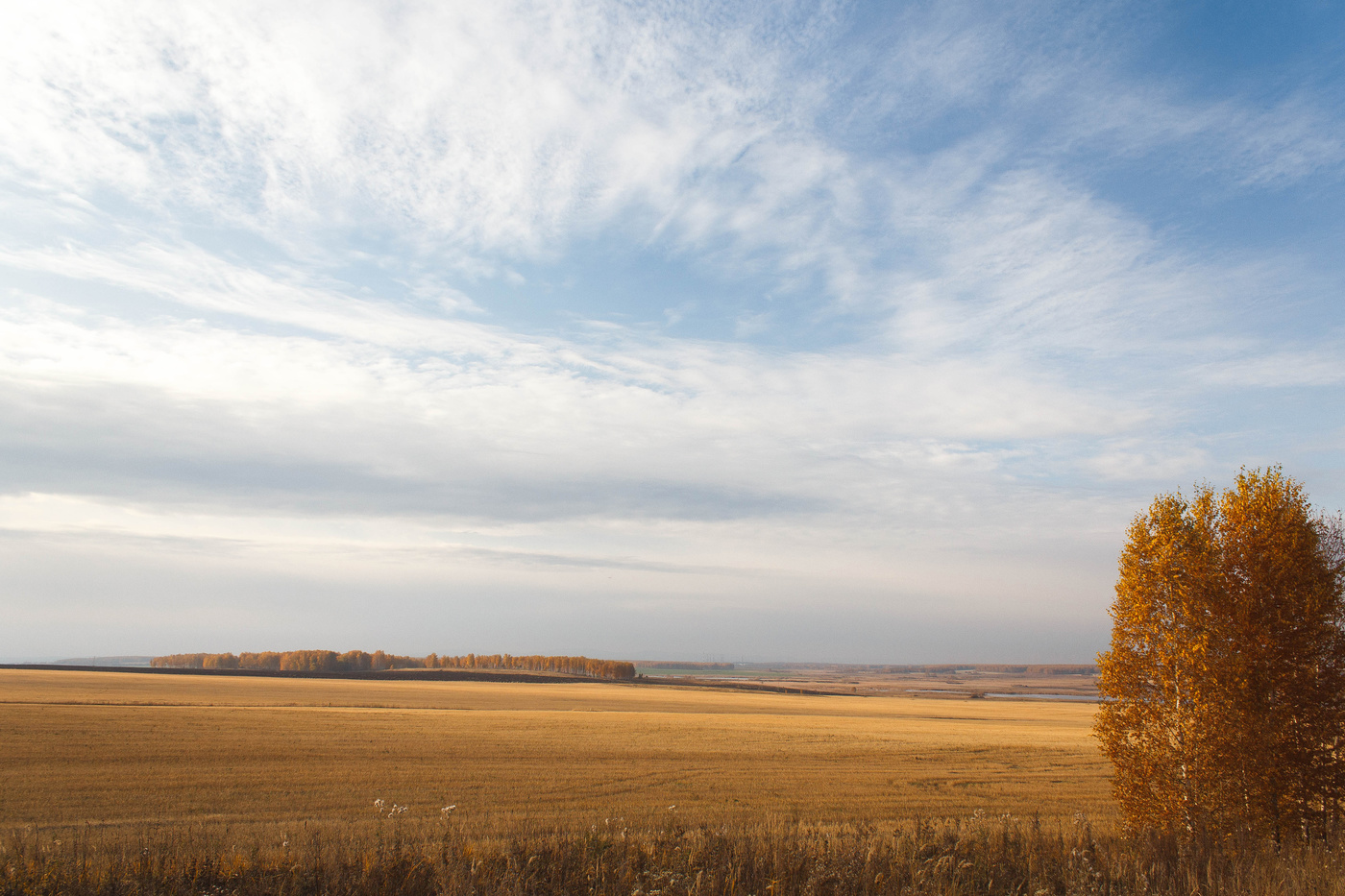 Чебаркульский район