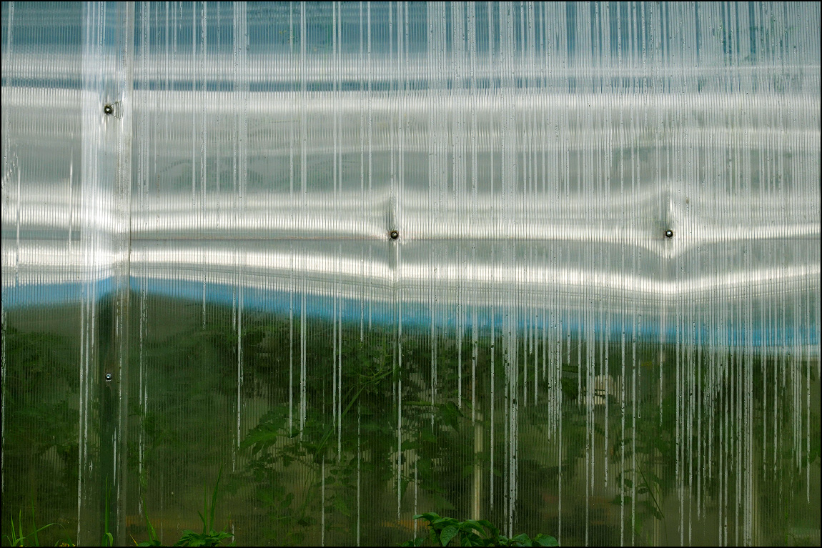 тропический ливень