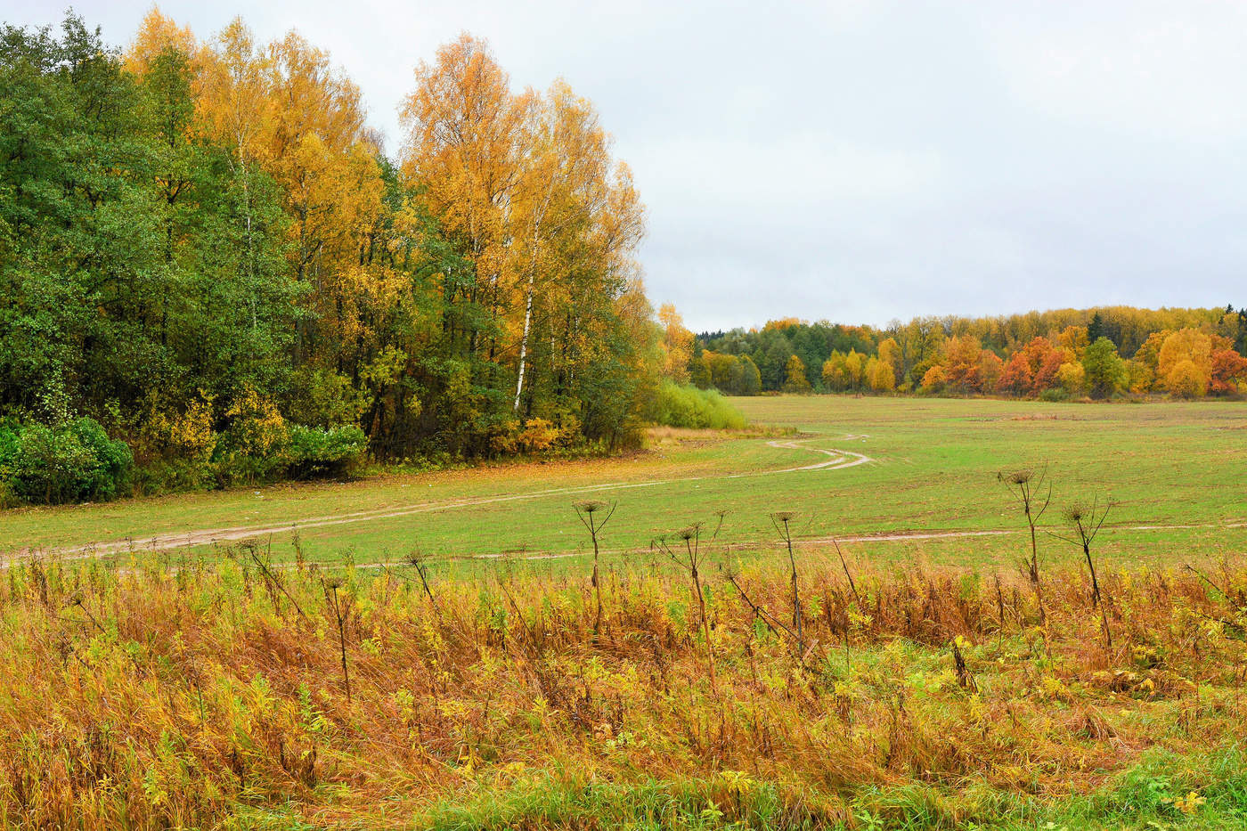 "Осень - рыжая кобыла чешет гриву"...