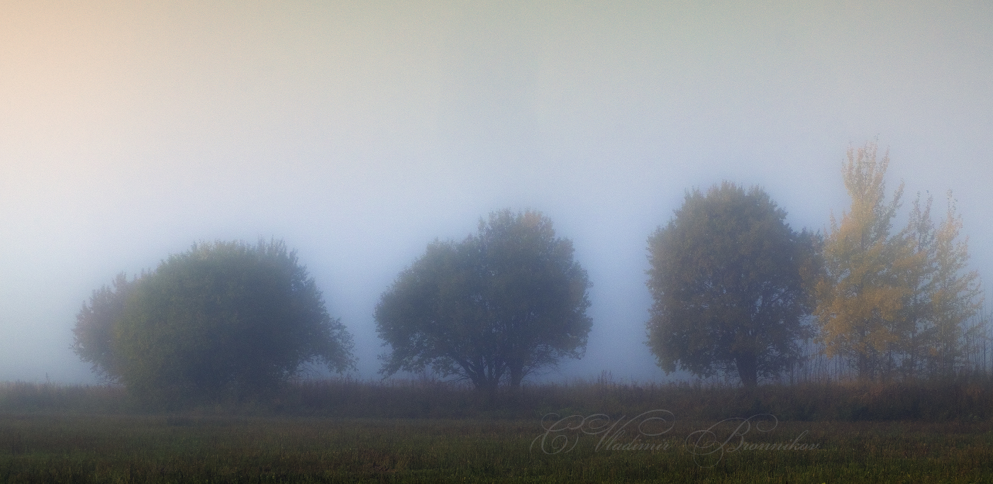 Туманный хоровод