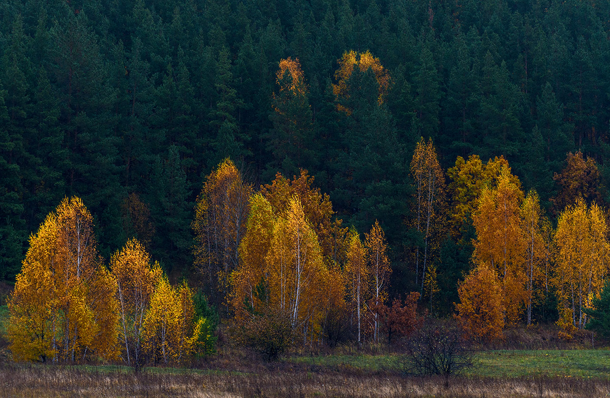 И вот пришла осень...