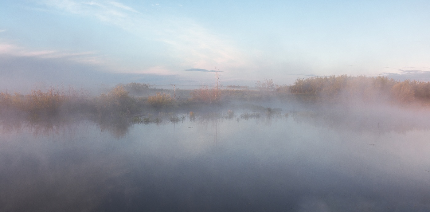 Утренний туман.