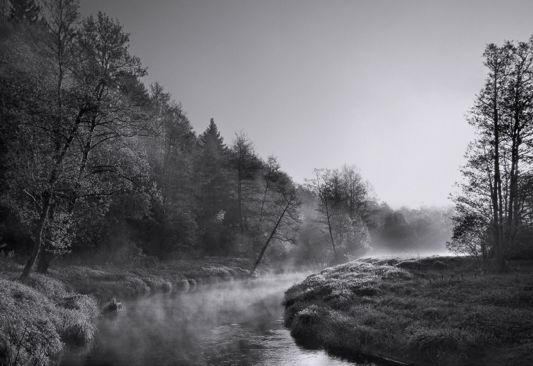 Утренняя река