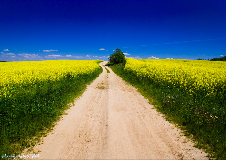 Первый летний день