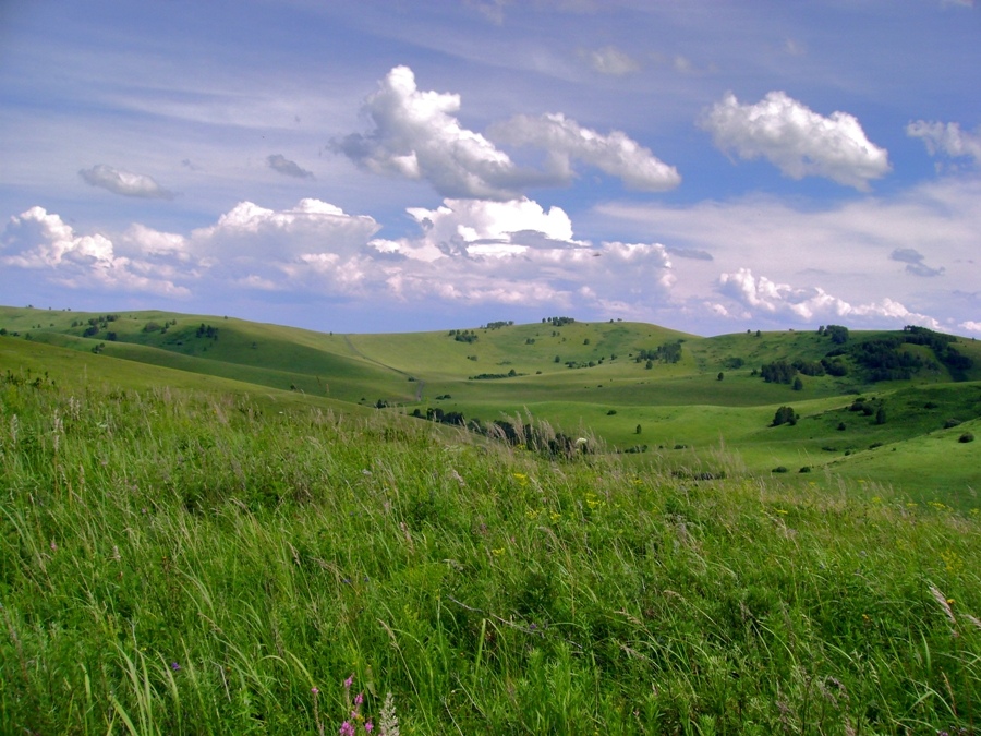 Безмятежность № 2