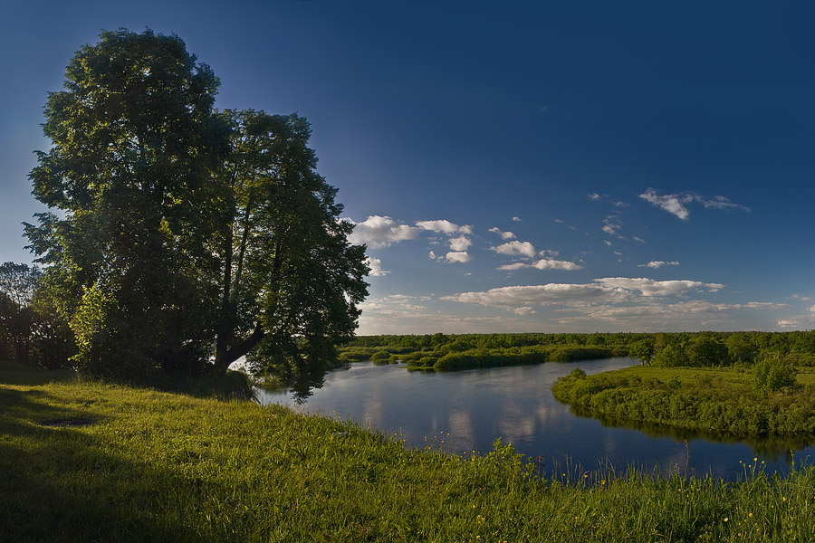 Встречаем лето