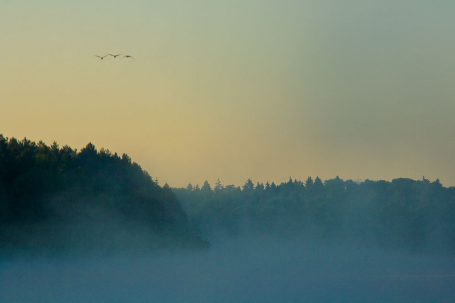 Как-то летом на рассвете...